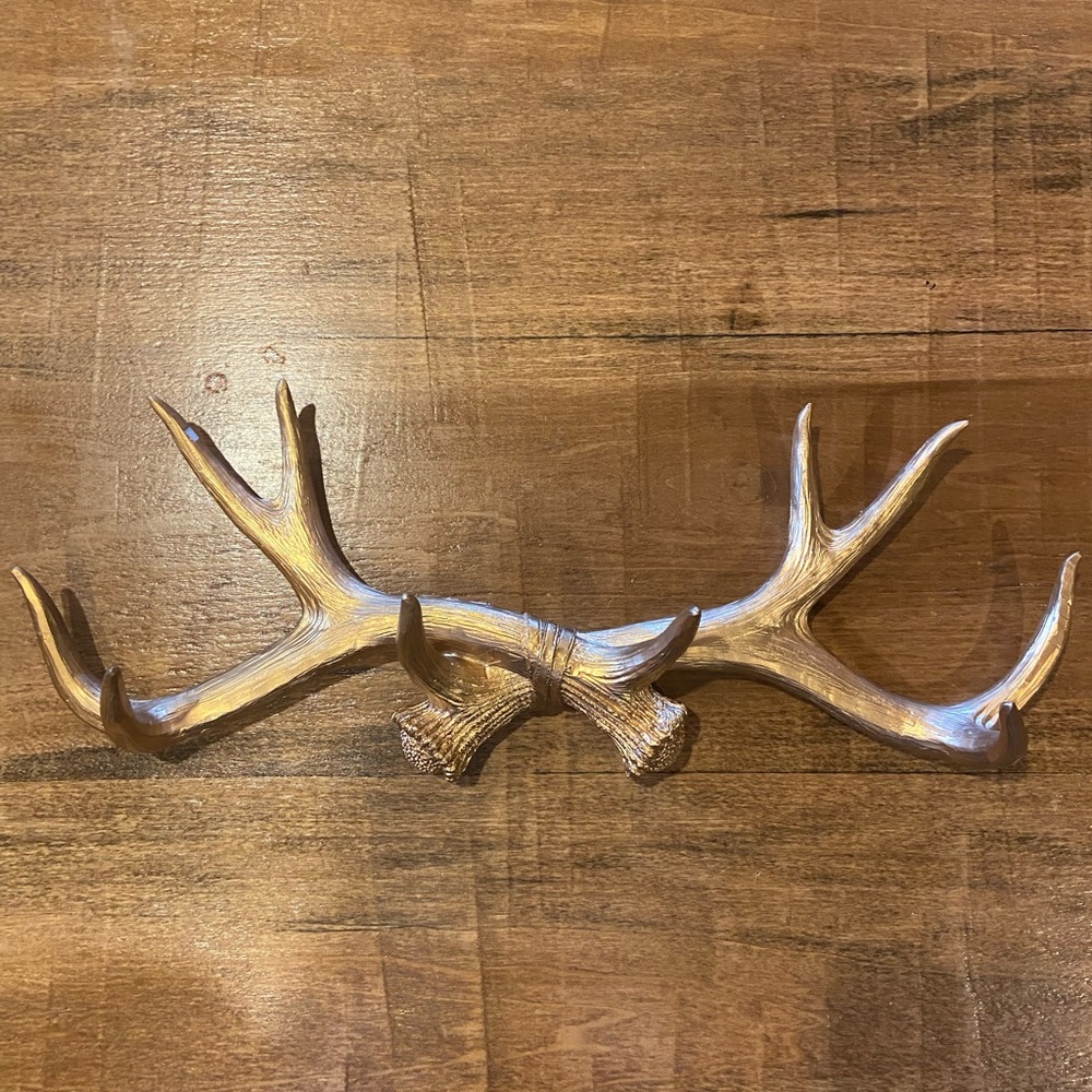 Gold antler wall hook